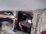 Oplus_0